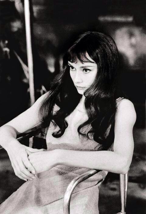 Audrey Hepburn Audrey Hepburn