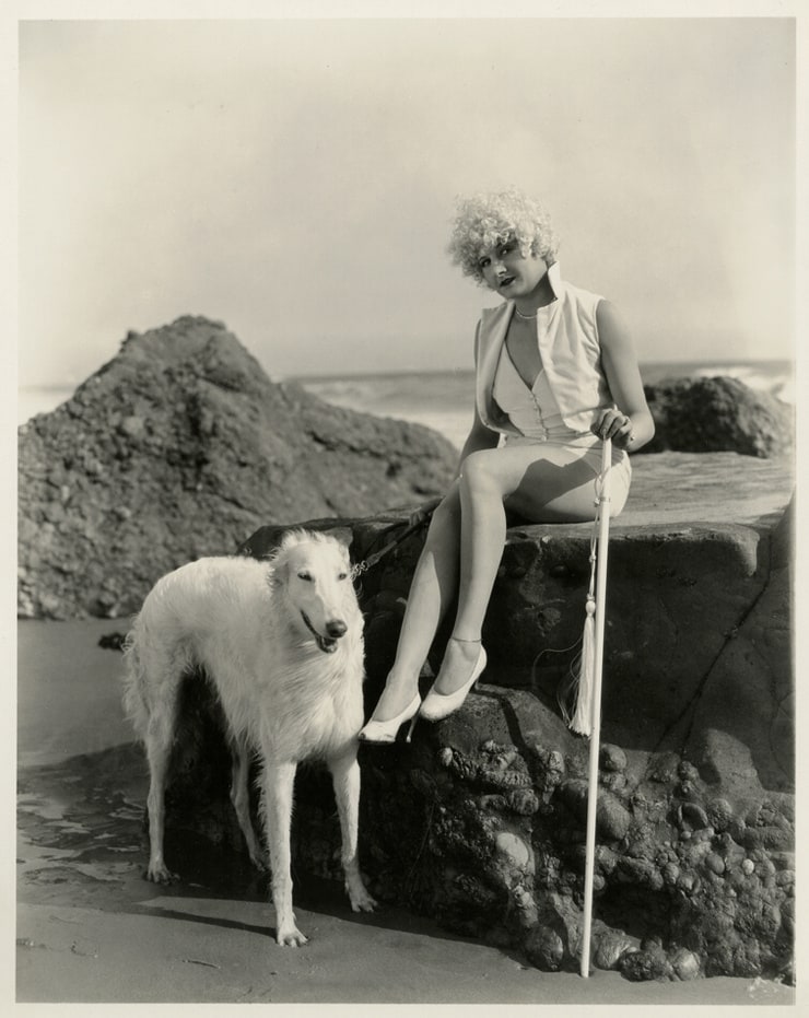 Vera Steadman Vera Steadman