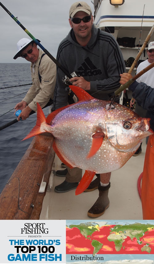 Opah