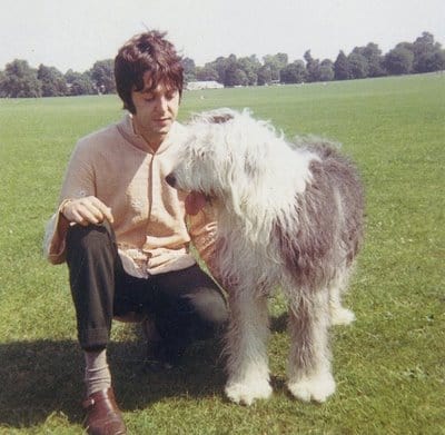 Paul McCartney Paul McCartney