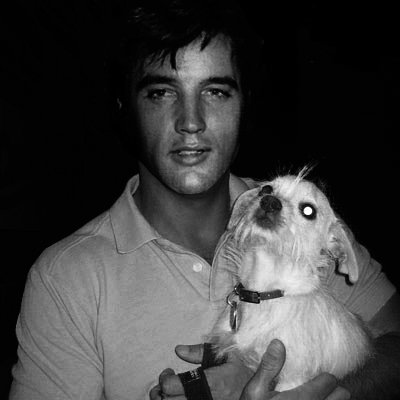 Elvis Presley Elvis Presley