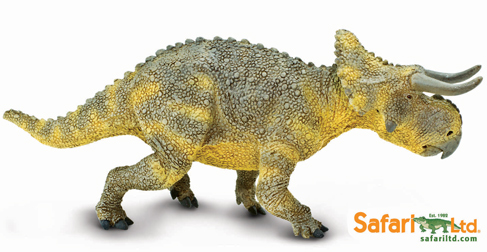 safari ltd nasutoceratops