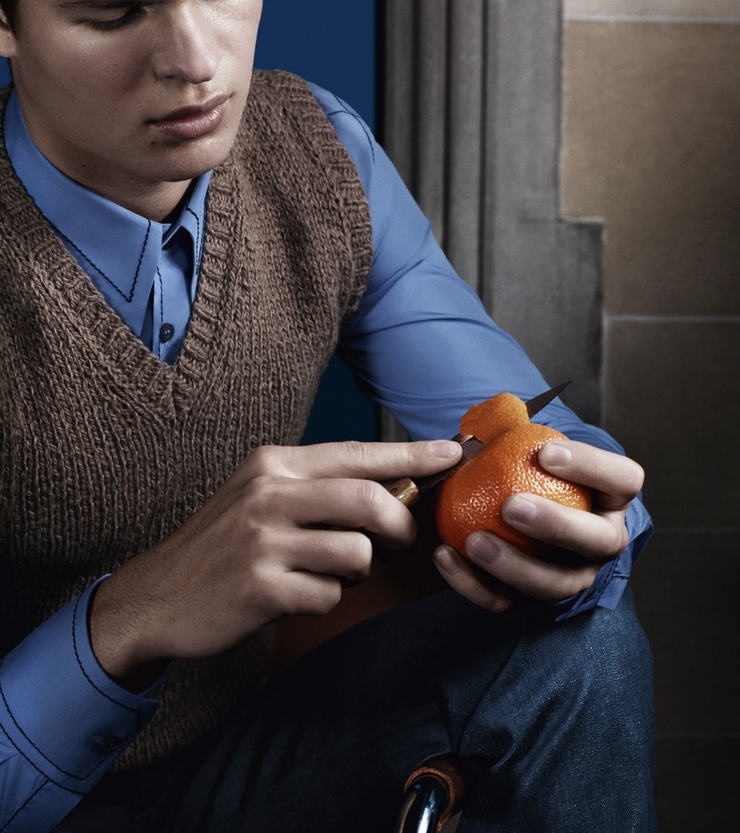 Ansel Elgort