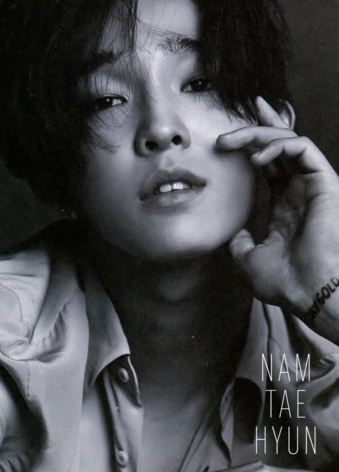 Nam Tae Hyun