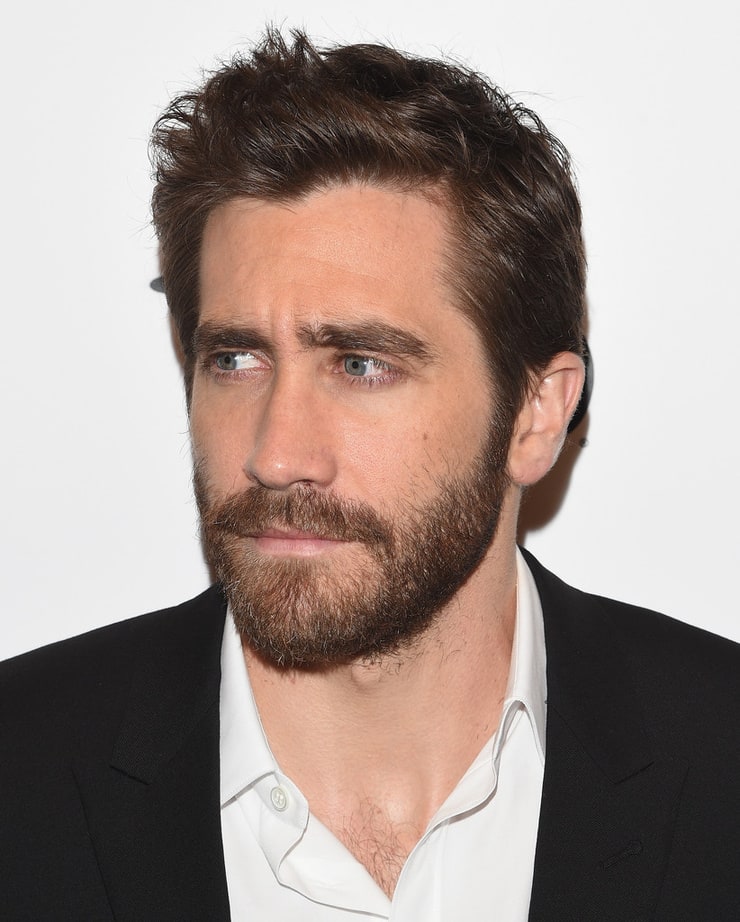 Picture of Jake Gyllenhaal