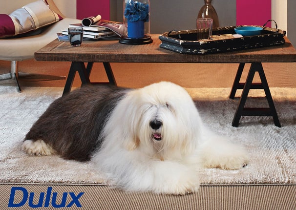 Dulux Dog