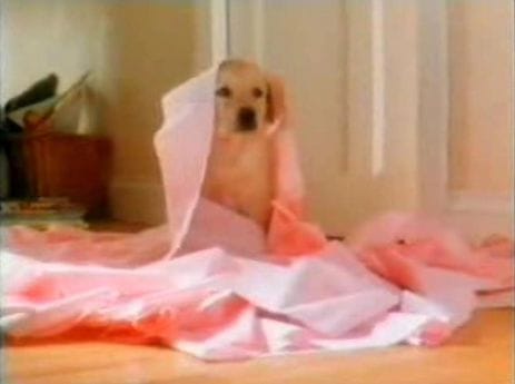 Andrex Puppy