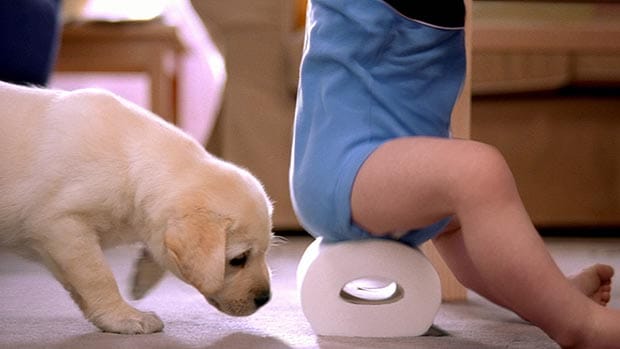 Andrex Puppy