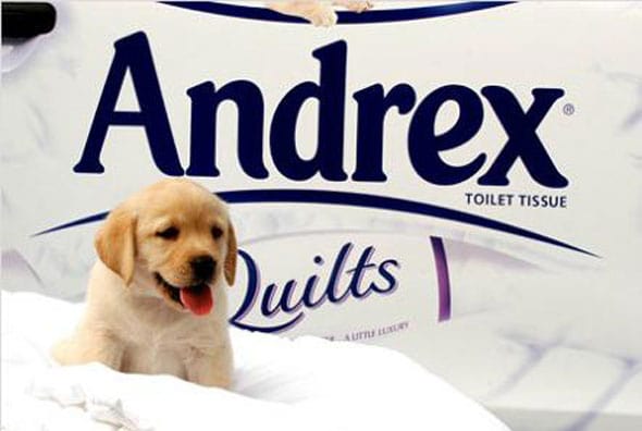 Andrex Puppy