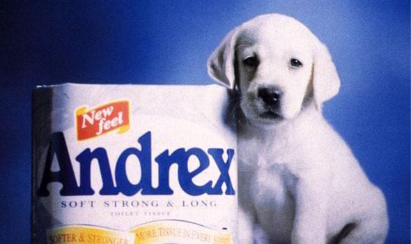 Andrex Puppy