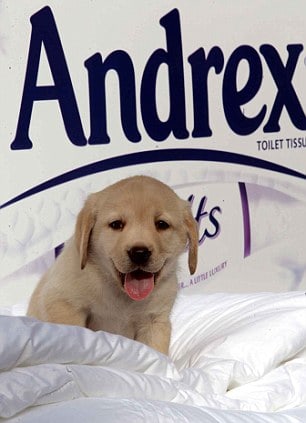 Andrex Puppy