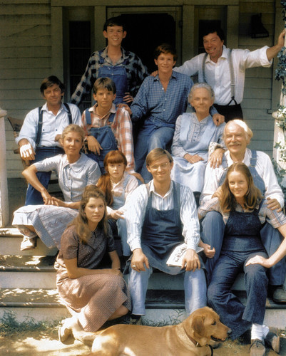 The Waltons The Waltons