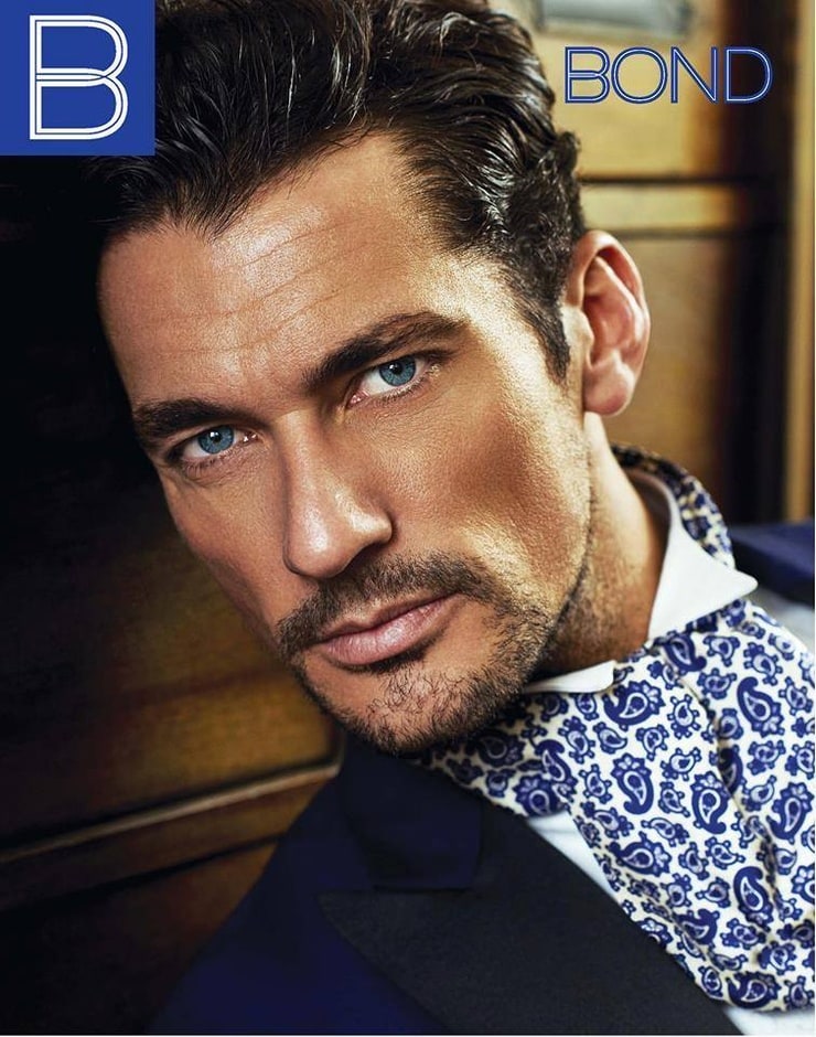 David Gandy