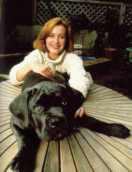 Gillian Anderson