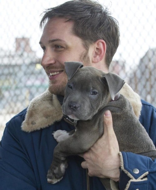 Tom Hardy Tom Hardy