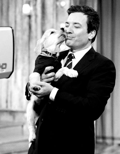 Jimmy Fallon