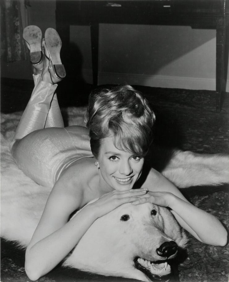 Inger Stevens