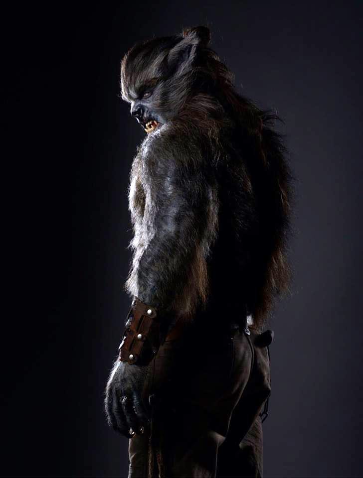 Wolves Wolves