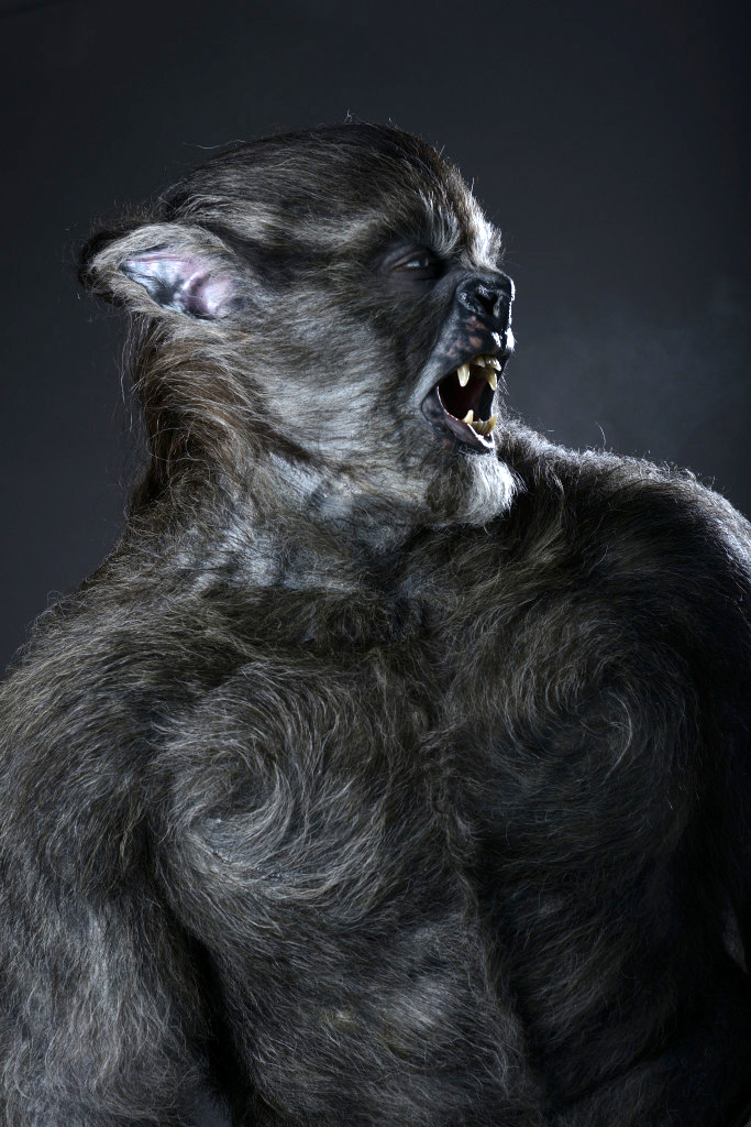 Wolves Wolves