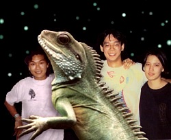 The Lizard's Convention The Lizard's Convention