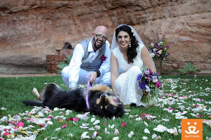 Jackson Galaxy