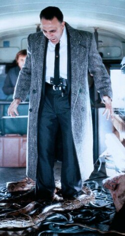 Valentino Cimo