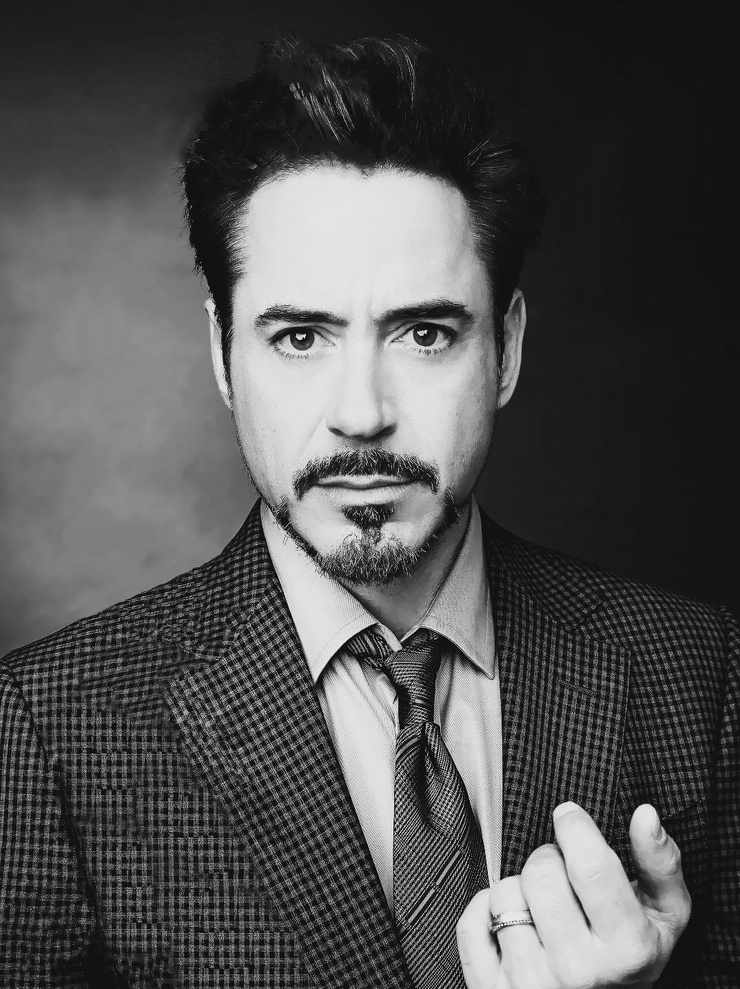 Robert Downey Jr. Robert Downey Jr.