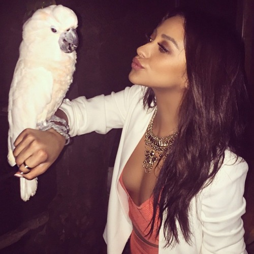 Shay Mitchell Shay Mitchell