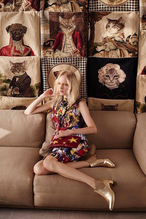 Maja Salamon