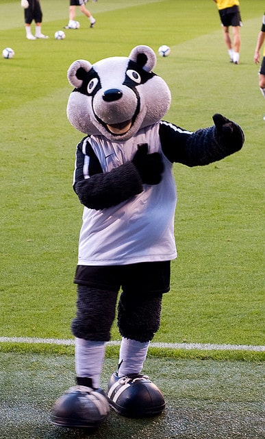 Billy the Badger Billy the Badger