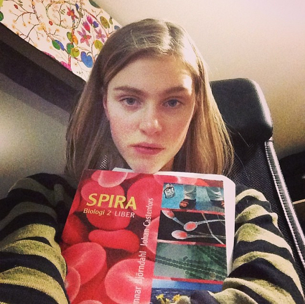 Hedvig Palm