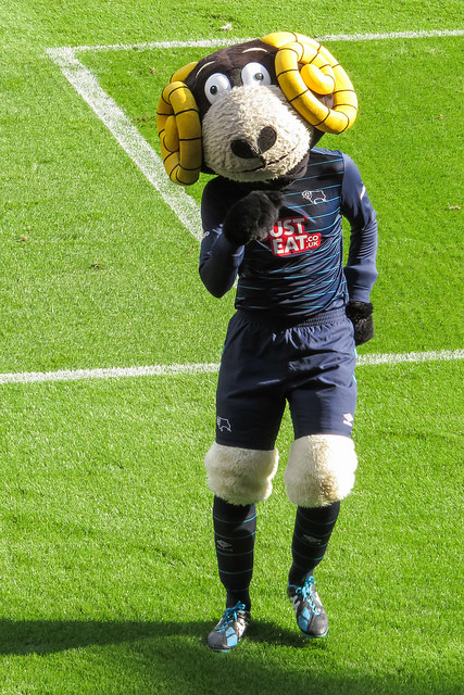 Picture of Rammie