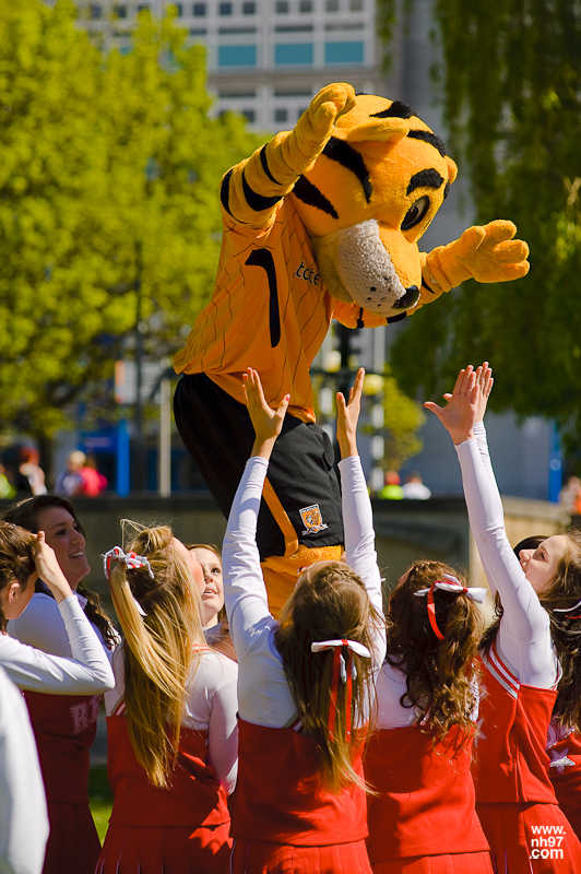 Roary the Tiger Roary the Tiger