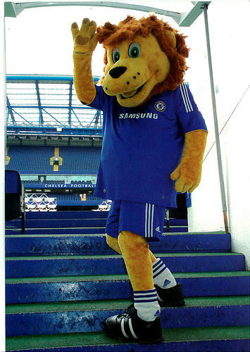 Stamford the Lion