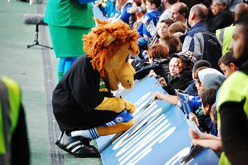 Stamford the Lion Stamford the Lion