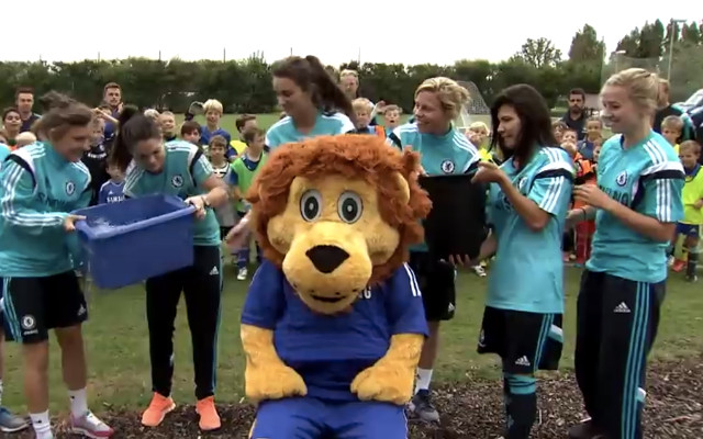 Stamford the Lion Stamford the Lion
