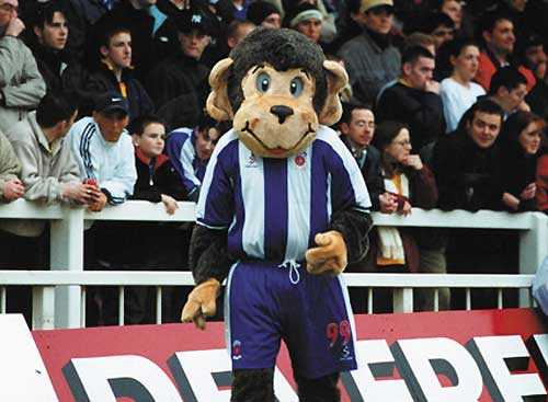 H'Angus the Monkey H'Angus the Monkey