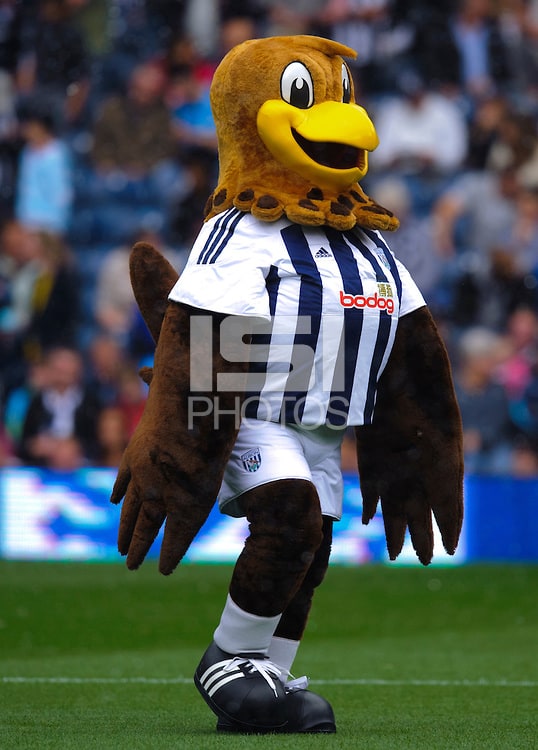 Baggie Bird