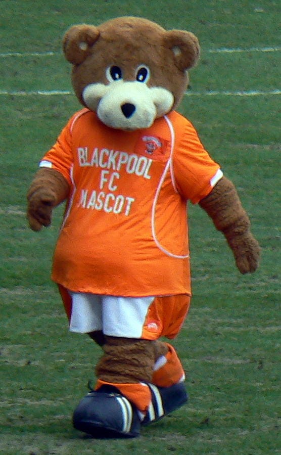 Bloomfield Bear