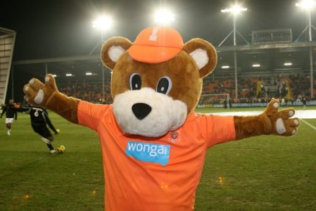 Bloomfield Bear Bloomfield Bear