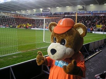 Bloomfield Bear Bloomfield Bear