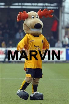 Marvin the Moose