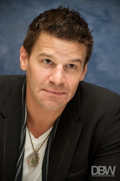 David Boreanaz