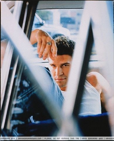 David Boreanaz