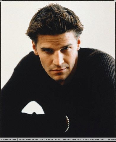 David Boreanaz