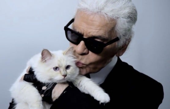 Picture of Karl Lagerfeld