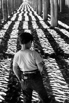 Little Fugitive (1953)