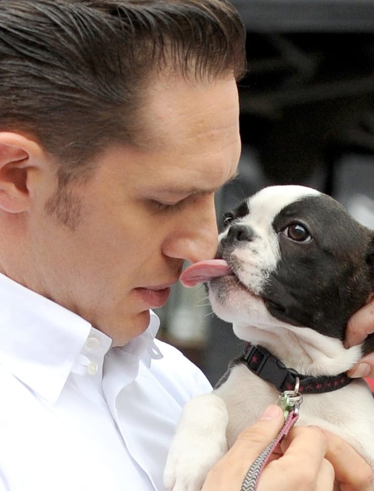 Tom Hardy Tom Hardy