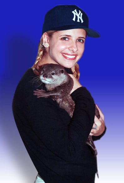 Sarah Michelle Gellar Sarah Michelle Gellar