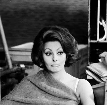 Sophia Loren picture